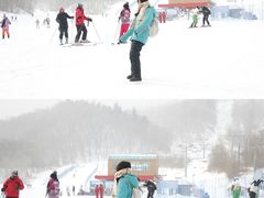 -亚布力新体委滑雪场