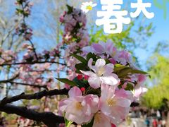 -海棠花溪(元大都城垣遗址公园)