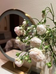 -尊尚柏丽美容SPA