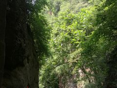 -天女山森林公园