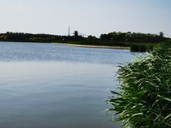 -西青郊野公园
