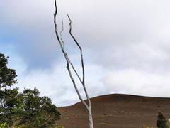 -夏威夷火山国家公园