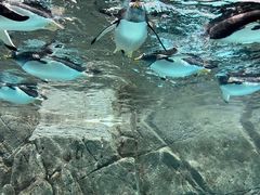 -成都浩海立方海洋公园