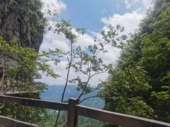 -恩施大峡谷