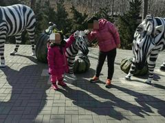 -大连森林动物园