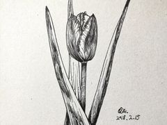 -八哥美术·成人美术画室(总校区)