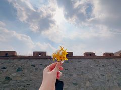 -樱花山风景区