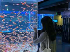 -海合安成都极地海洋公园