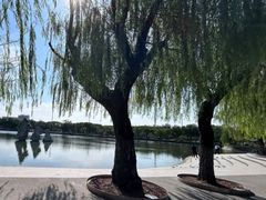 -千岛湖忆湖度假酒店(中心湖景区店)