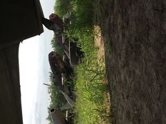 iphone_upload_pic-中国航空博物馆