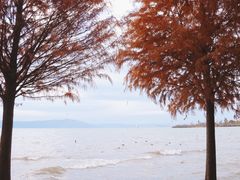 -捞渔河湿地公园