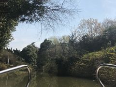 -荆川公园