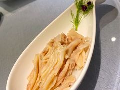 宫廷芥末鸭掌-梧桐