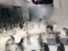 -大连圣亚海洋世界