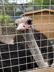 -萌宠亲子动物乐园(槐房万达店)