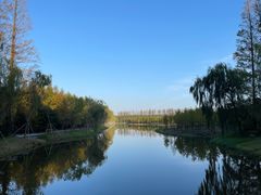 -黄海国家森林公园