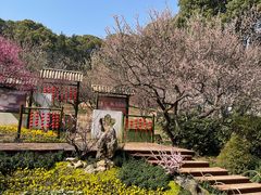 -无锡梅园公园