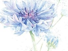 -八哥美术·成人美术画室(总校区)