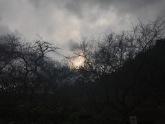 -广州市石门国家森林公园