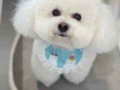 -欧奕国际动物医院