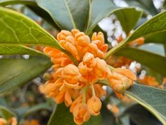 -苏州河梦清园环保主题公园