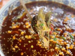 -青城甲(青城山店)