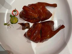 润烧玻璃乳鸽-东富酒家(龙湖西溪天街店)