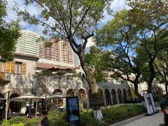 -Seesaw Coffee(上生新所店)