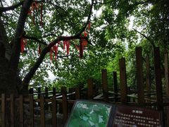 -天燕原始生态旅游区-天门垭景区