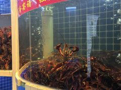 -指爱龙虾(金杨路总店)