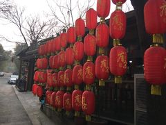 -张鸟园农家乐(张鸟园店)