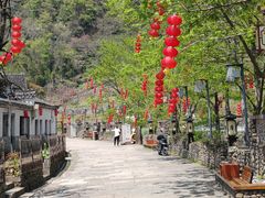 -四明山国家森林公园