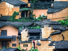 -杨家堂村