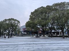 -金鸡湖游船(月光码头)