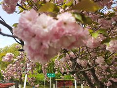 -江南大学(蠡湖校区)