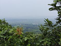 -海口火山口国家地质公园