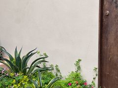 -苏小糖(鼓浪屿三丘田花园店)