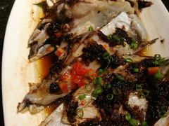 手撕茄子蒸鱼头-老广酒楼(樱花店)