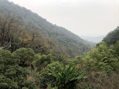 -韬光茶庵