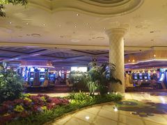 -拉斯维加斯永利酒店