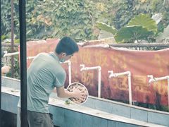 -松山湖南湖湾露营营地