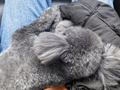 -熊小胖宠物生活馆(天华园店)