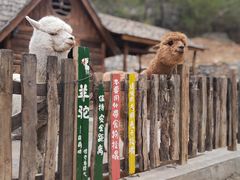 -幽岚山·童话森林