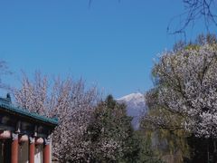 -野鸭湖国家湿地公园