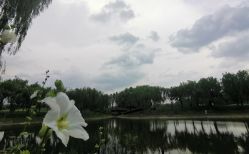 -芙蓉花月子会所(朝阳区店)
