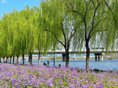 -咸阳湖景区