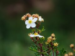 -洛阳花果山景区
