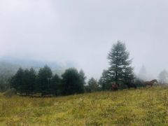 -驼梁风景区
