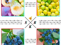 -花果山生鲜超市(浑河湾店)