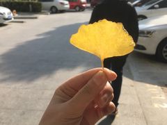 -海底捞火锅(亲子主题北金鹰店)